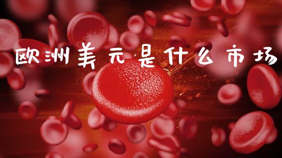 欧洲美元是什么市场_https://m.jnlaobingbanjia.com_全球市场_第1张