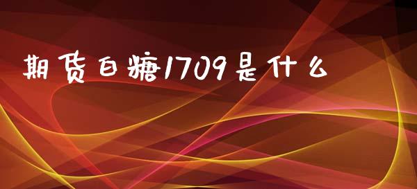 期货白糖1709是什么_https://m.jnlaobingbanjia.com_股市新闻_第1张