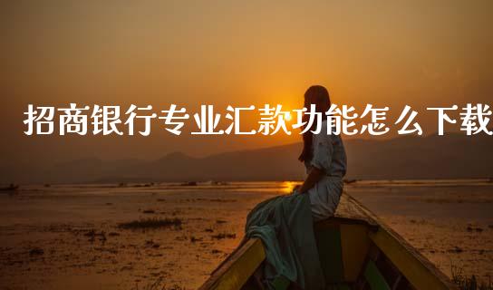 招商银行专业汇款功能怎么下载_https://m.jnlaobingbanjia.com_全球市场_第1张