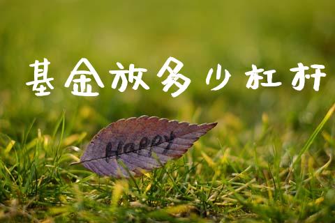 基金放多少杠杆_https://m.jnlaobingbanjia.com_理财规划_第1张