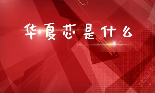 华夏芯是什么_https://m.jnlaobingbanjia.com_金融监管_第1张