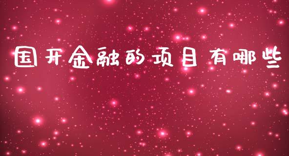 国开金融的项目有哪些_https://m.jnlaobingbanjia.com_金融监管_第1张