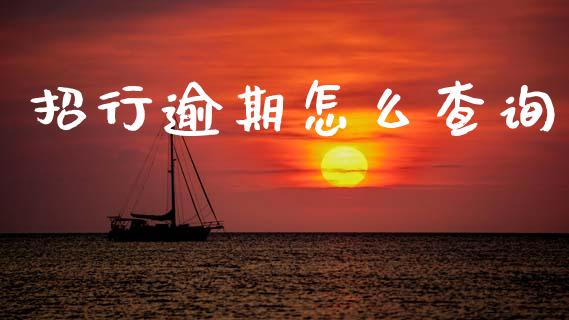 招行逾期怎么查询_https://m.jnlaobingbanjia.com_金融监管_第1张