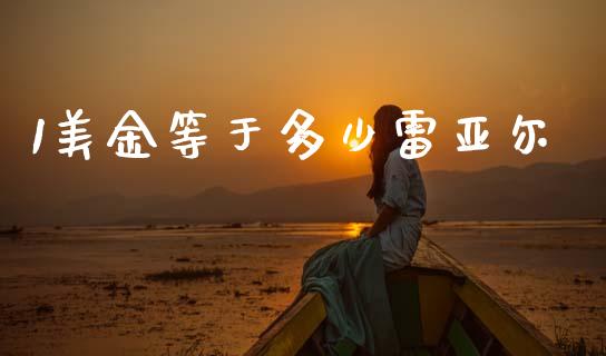 1美金等于多少雷亚尔_https://m.jnlaobingbanjia.com_区块链_第1张