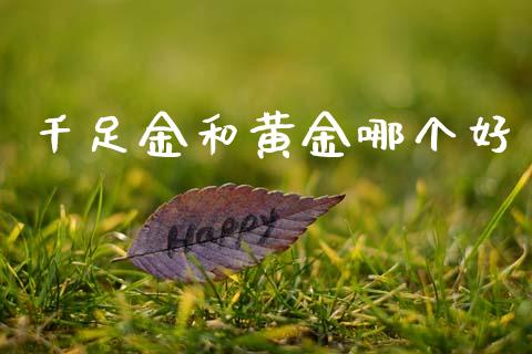 千足金和黄金哪个好_https://m.jnlaobingbanjia.com_全球市场_第1张