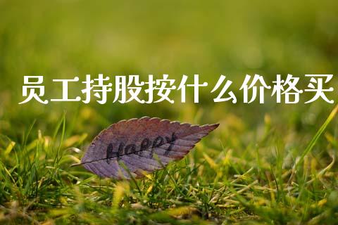 员工持股按什么价格买_https://m.jnlaobingbanjia.com_金融监管_第1张