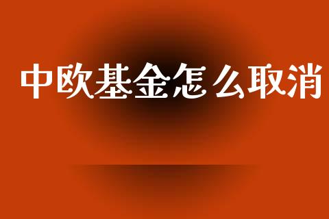 中欧基金怎么取消_https://m.jnlaobingbanjia.com_金融监管_第1张