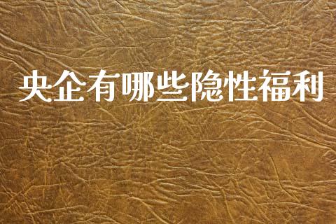 央企有哪些隐性福利_https://m.jnlaobingbanjia.com_全球市场_第1张