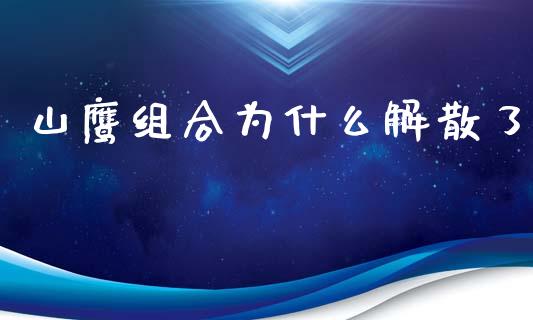 山鹰组合为什么解散了_https://m.jnlaobingbanjia.com_股市新闻_第1张