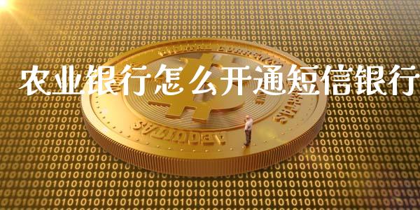 农业银行怎么开通短信银行_https://m.jnlaobingbanjia.com_理财规划_第1张