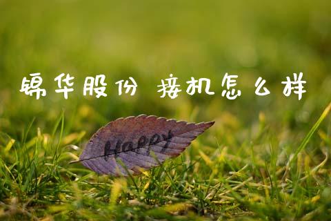 锦华股份 接机怎么样_https://m.jnlaobingbanjia.com_金融监管_第1张