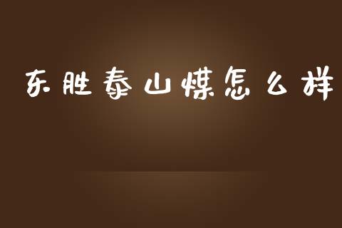 东胜泰山煤怎么样_https://m.jnlaobingbanjia.com_基金市场_第1张