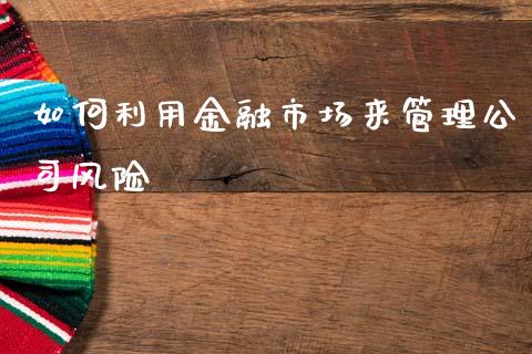 如何利用金融市场来管理公司风险_https://m.jnlaobingbanjia.com_全球市场_第1张
