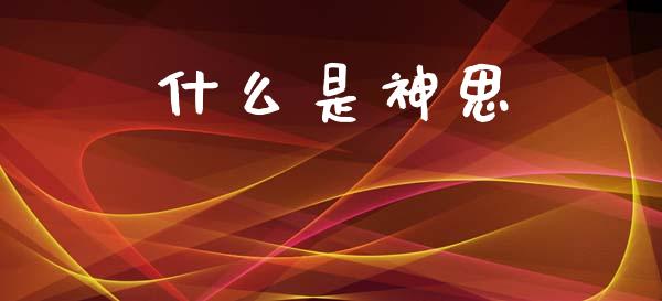 什么是神思_https://m.jnlaobingbanjia.com_全球市场_第1张