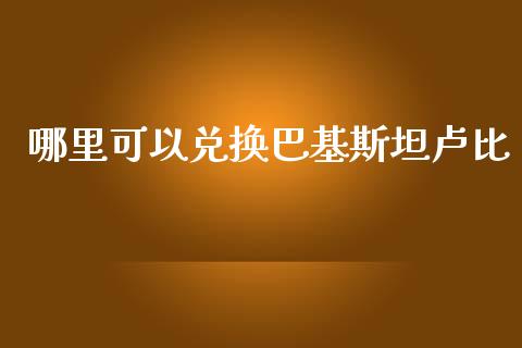 哪里可以兑换巴基斯坦卢比_https://m.jnlaobingbanjia.com_区块链_第1张