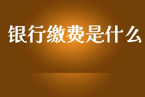 银行缴费是什么_https://m.jnlaobingbanjia.com_股市新闻_第1张