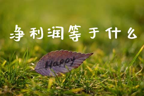 净利润等于什么_https://m.jnlaobingbanjia.com_理财规划_第1张