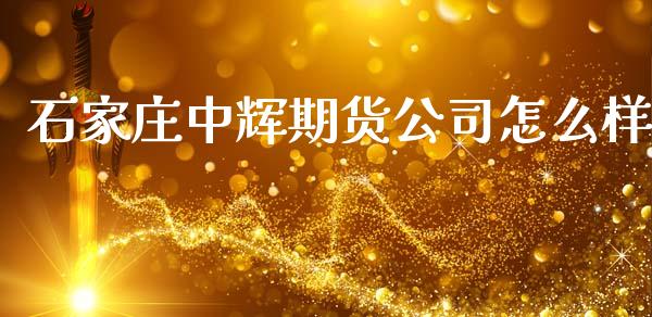 石家庄中辉期货公司怎么样_https://m.jnlaobingbanjia.com_全球市场_第1张