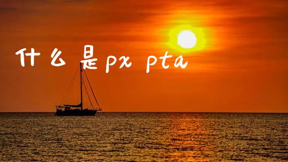 什么是px pta_https://m.jnlaobingbanjia.com_理财规划_第1张