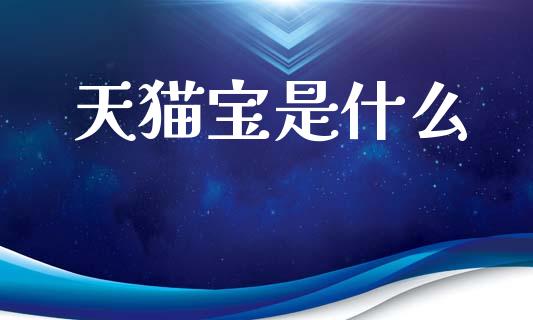 天猫宝是什么_https://m.jnlaobingbanjia.com_理财规划_第1张