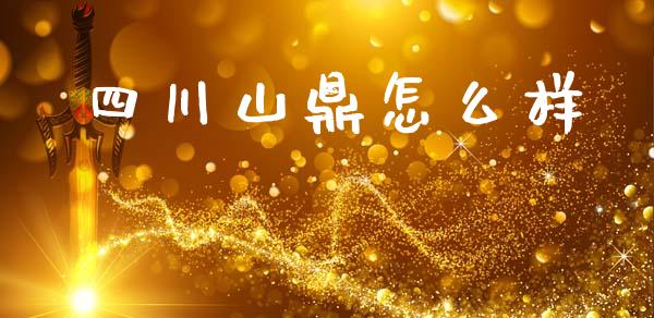 四川山鼎怎么样_https://m.jnlaobingbanjia.com_全球市场_第1张