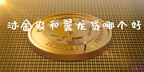 沐金农和翼龙贷哪个好_https://m.jnlaobingbanjia.com_股市新闻_第1张