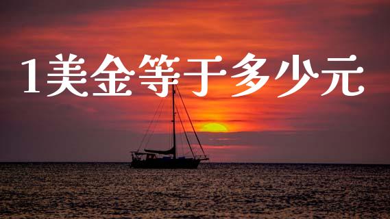 1美金等于多少元_https://m.jnlaobingbanjia.com_金融监管_第1张