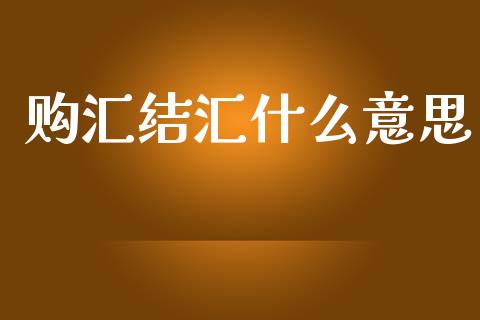 购汇结汇什么意思_https://m.jnlaobingbanjia.com_区块链_第1张
