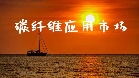 碳纤维应用市场_https://m.jnlaobingbanjia.com_全球市场_第1张