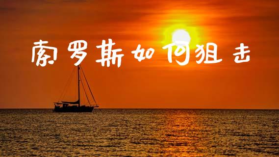 索罗斯如何狙击_https://m.jnlaobingbanjia.com_理财规划_第1张