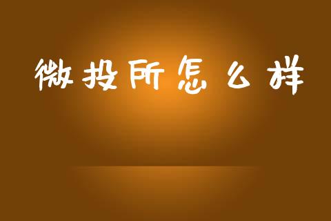 微投所怎么样_https://m.jnlaobingbanjia.com_理财规划_第1张