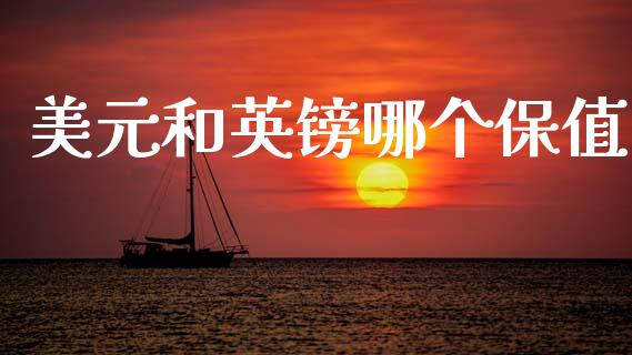美元和英镑哪个保值_https://m.jnlaobingbanjia.com_基金市场_第1张