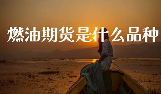 燃油期货是什么品种_https://m.jnlaobingbanjia.com_金融监管_第1张