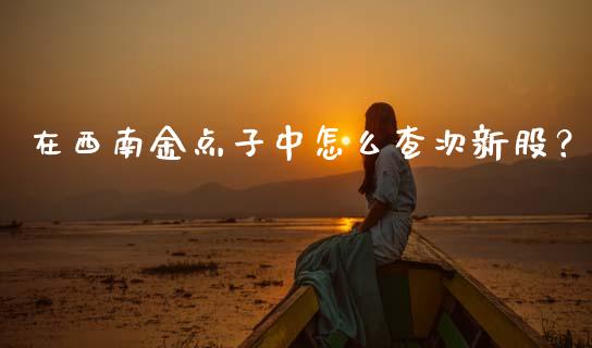 在西南金点子中怎么查次新股?_理财规划_第1张_全球市场_股市新闻_理财规划_金融监管_区块链_基金市场 在西南金点子中怎么查次新股?_https://m.jnlaobingbanjia.com_理财规划_第1张