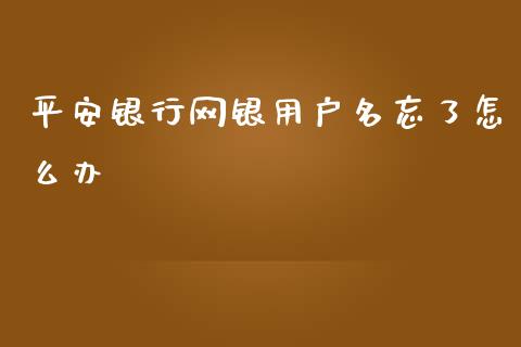 平安银行网银用户名忘了怎么办_https://m.jnlaobingbanjia.com_金融监管_第1张