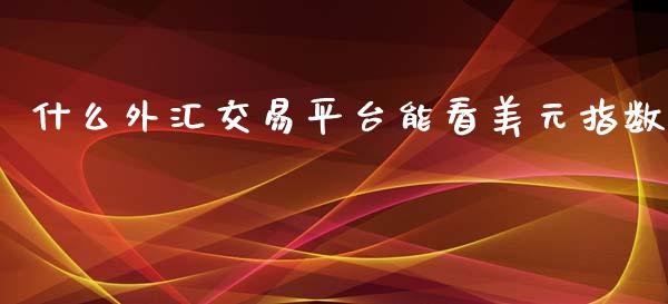 什么外汇交易平台能看美元指数_https://m.jnlaobingbanjia.com_基金市场_第1张