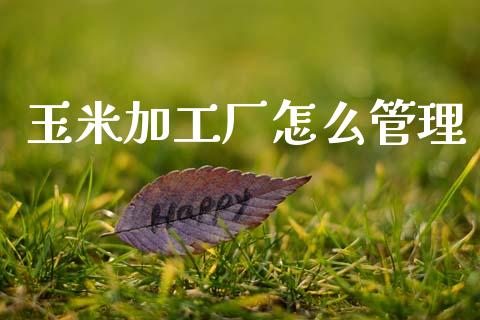 玉米加工厂怎么管理_https://m.jnlaobingbanjia.com_区块链_第1张