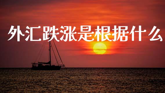 外汇跌涨是根据什么_https://m.jnlaobingbanjia.com_理财规划_第1张