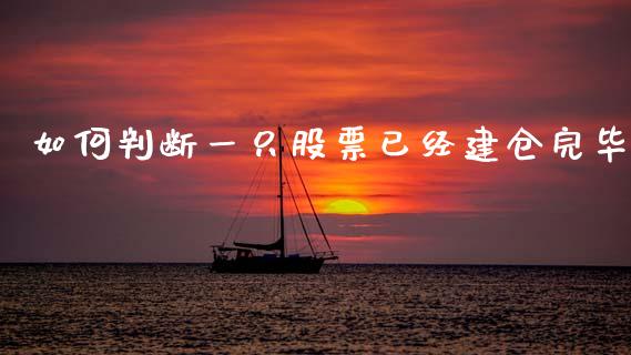 如何判断一只股票已经建仓完毕_https://m.jnlaobingbanjia.com_区块链_第1张