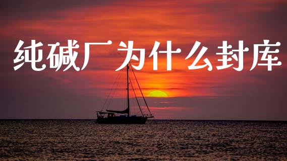 纯碱厂为什么封库_https://m.jnlaobingbanjia.com_基金市场_第1张