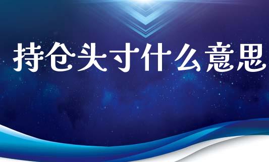 持仓头寸什么意思_https://m.jnlaobingbanjia.com_理财规划_第1张
