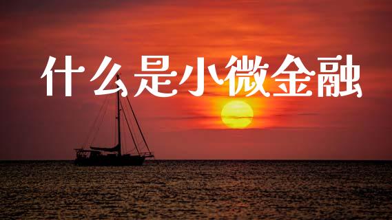 什么是小微金融_https://m.jnlaobingbanjia.com_基金市场_第1张
