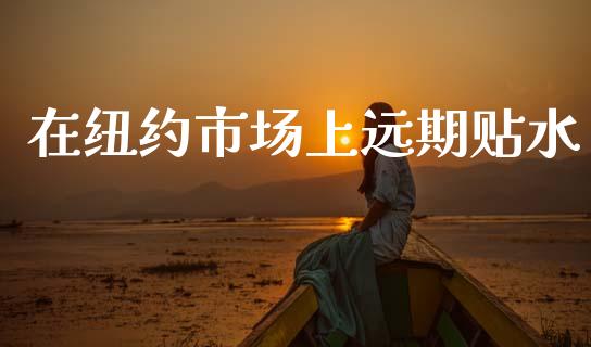 在纽约市场上远期贴水_https://m.jnlaobingbanjia.com_全球市场_第1张
