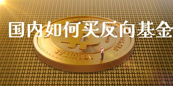国内如何买反向基金_https://m.jnlaobingbanjia.com_全球市场_第1张