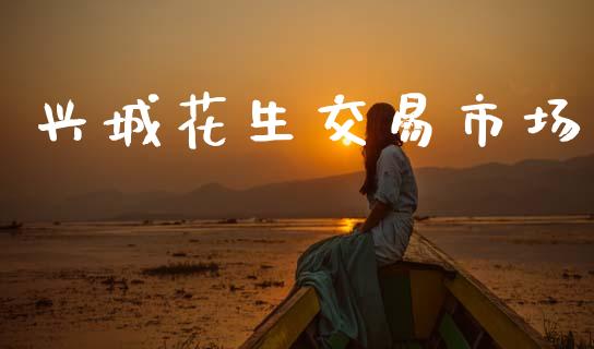 兴城花生交易市场_https://m.jnlaobingbanjia.com_区块链_第1张