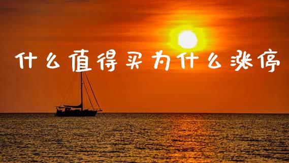 什么值得买为什么涨停_https://m.jnlaobingbanjia.com_理财规划_第1张