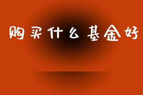 购买什么基金好_https://m.jnlaobingbanjia.com_股市新闻_第1张