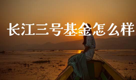 长江三号基金怎么样_https://m.jnlaobingbanjia.com_基金市场_第1张