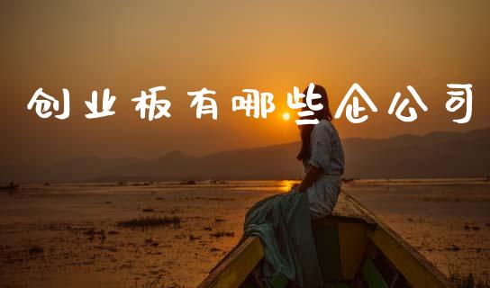 创业板有哪些企公司_https://m.jnlaobingbanjia.com_股市新闻_第1张