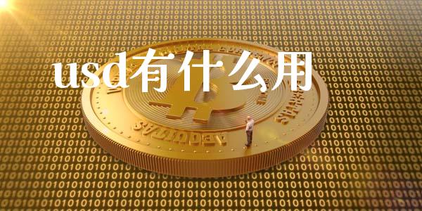 usd有什么用_https://m.jnlaobingbanjia.com_全球市场_第1张